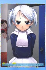 BUY NEW mamoru kun ni megami no shukufuku wo! - 113423 Premium Anime Print Poster