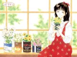 BUY NEW marmalade boy - 144442 Premium Anime Print Poster
