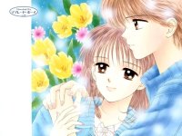 BUY NEW marmalade boy - 144474 Premium Anime Print Poster