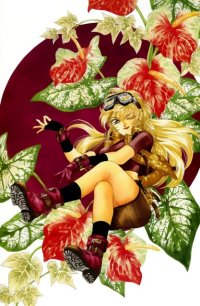 BUY NEW matoh sanami - 178066 Premium Anime Print Poster