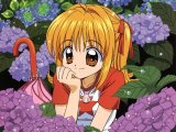 BUY NEW mermaid melody pichi pichi pitch - 110574 Premium Anime Print Poster