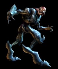 BUY NEW metroid - 191137 Premium Anime Print Poster