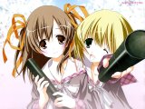 BUY NEW miki miyashita - 123200 Premium Anime Print Poster