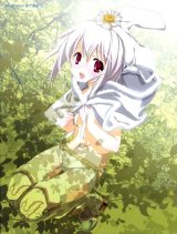 BUY NEW miki miyashita - 147041 Premium Anime Print Poster