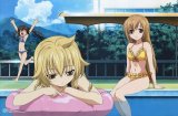 BUY NEW minami ke - 164813 Premium Anime Print Poster
