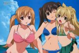 BUY NEW minami ke - 175248 Premium Anime Print Poster