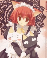 BUY NEW mitsumi misato - 105354 Premium Anime Print Poster