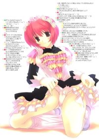 BUY NEW mitsumi misato - 180252 Premium Anime Print Poster