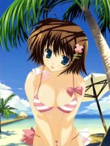 BUY NEW mitsumi misato - 5062 Premium Anime Print Poster