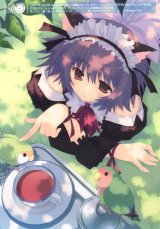 BUY NEW mitsumi misato - 82660 Premium Anime Print Poster