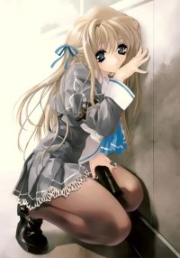 BUY NEW miwa yoshikazu - 172472 Premium Anime Print Poster
