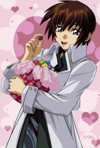 BUY NEW mobile suit gundam seed - 108839 Premium Anime Print Poster