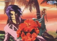 BUY NEW mobile suit gundam seed - 47314 Premium Anime Print Poster