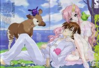 BUY NEW mobile suit gundam seed - 50159 Premium Anime Print Poster