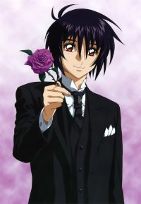 BUY NEW mobile suit gundam seed destiny - 146975 Premium Anime Print Poster