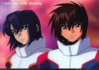 BUY NEW mobile suit gundam seed destiny - 34061 Premium Anime Print Poster