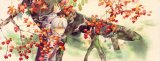 BUY NEW mushishi - 130944 Premium Anime Print Poster