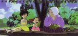 BUY NEW my neighbor totoro - 192067 Premium Anime Print Poster