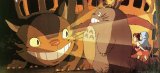 BUY NEW my neighbor totoro - 74837 Premium Anime Print Poster