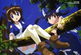 BUY NEW nagasarete airantou - 120483 Premium Anime Print Poster
