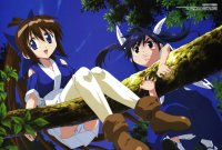 BUY NEW nagasarete airantou - 120483 Premium Anime Print Poster