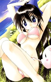 BUY NEW nagasarete airantou - 123756 Premium Anime Print Poster