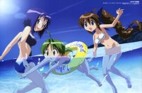BUY NEW nagasarete airantou - 128057 Premium Anime Print Poster