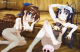BUY NEW nagasarete airantou - 147353 Premium Anime Print Poster