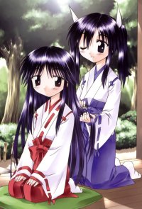 BUY NEW nagasarete airantou - 177575 Premium Anime Print Poster