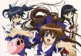 BUY NEW nagasarete airantou - 187477 Premium Anime Print Poster