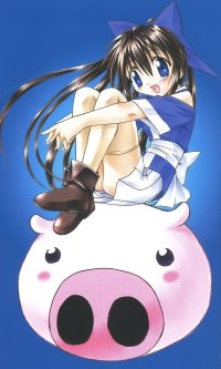 BUY NEW nagasarete airantou - 75203 Premium Anime Print Poster