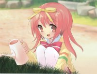 BUY NEW nanatsuiro drops - 133888 Premium Anime Print Poster