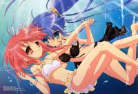 BUY NEW nanatsuiro drops - 137521 Premium Anime Print Poster