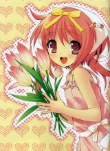 BUY NEW nanatsuiro drops - 146558 Premium Anime Print Poster