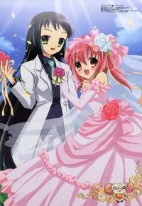 BUY NEW nanatsuiro drops - 147492 Premium Anime Print Poster