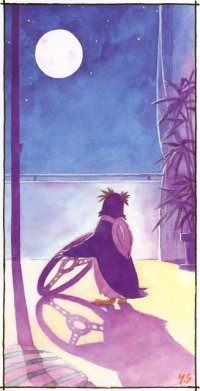 BUY NEW neon genesis evangelion - 127203 Premium Anime Print Poster