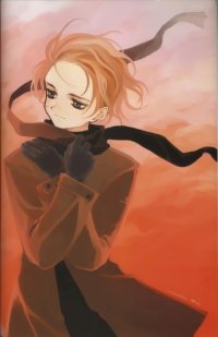 BUY NEW nocchi - 150980 Premium Anime Print Poster