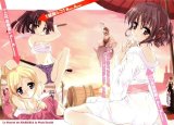 BUY NEW nogizaka haruka no himitsu - 158976 Premium Anime Print Poster