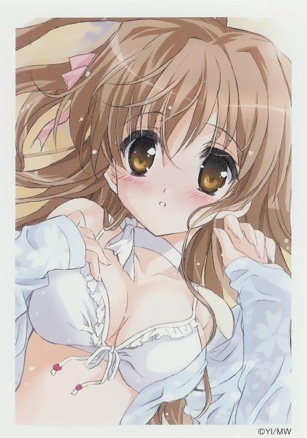 BUY NEW nogizaka haruka no himitsu - 177533 Premium Anime Print Poster nogizaka haruka no himitsu - 177543 image