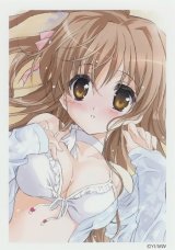 BUY NEW nogizaka haruka no himitsu - 177533 Premium Anime Print Poster