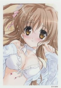BUY NEW nogizaka haruka no himitsu - 177533 Premium Anime Print Poster