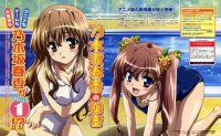 BUY NEW nogizaka haruka no himitsu - 186191 Premium Anime Print Poster
