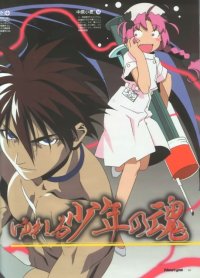 BUY NEW nurse witch komugi - 5907 Premium Anime Print Poster