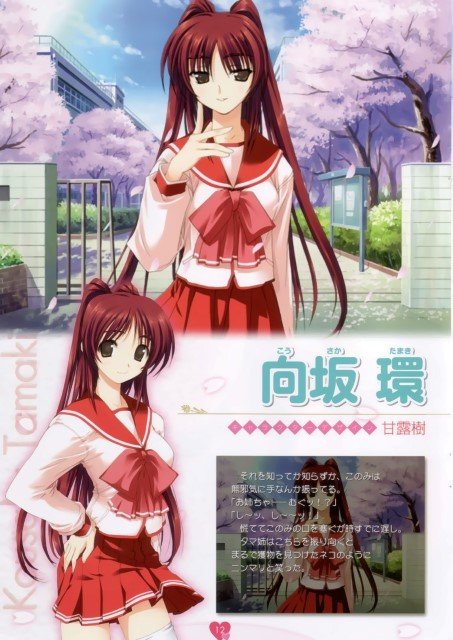 BUY NEW 2x2 shinobuden - 29517 Premium Anime Print Poster 2x2 shinobuden - 29517 image
