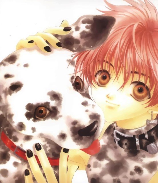 BUY NEW 2x2 shinobuden - 55886 Premium Anime Print Poster 2x2 shinobuden - 55886 image