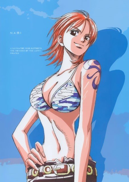 BUY NEW one piece - 110329 Premium Anime Print Poster one piece - 111267 image