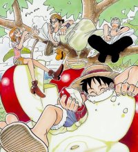 BUY NEW one piece - 119061 Premium Anime Print Poster
