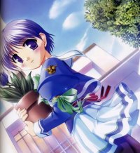 BUY NEW operation sanctuary - 28390 Premium Anime Print Poster