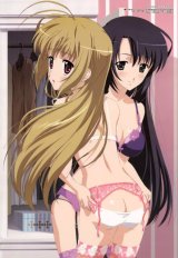 BUY NEW otome wa onee sama ni koi shiteru - 104884 Premium Anime Print Poster