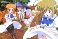 BUY NEW otome wa onee sama ni koi shiteru - 108627 Premium Anime Print Poster